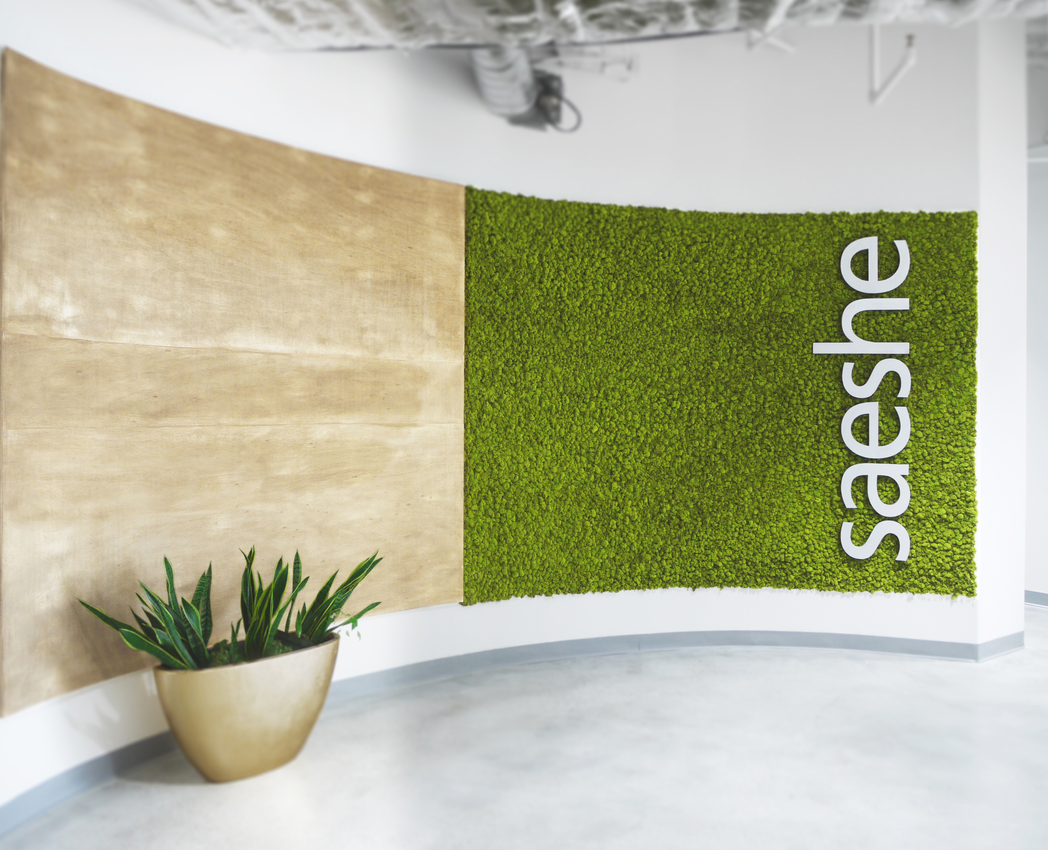 Saeshe logo